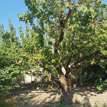 Villa Dans Le Sud Lunel  Eksteriør bilde