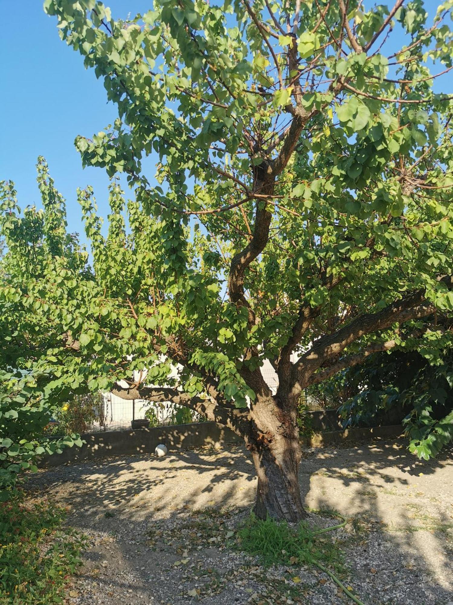 Villa Dans Le Sud Lunel  Eksteriør bilde